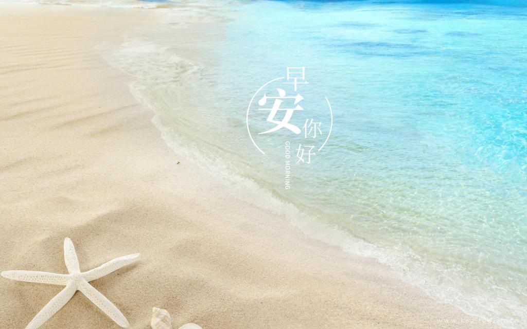 早安唯美海洋物语今天也“海星”风景图片