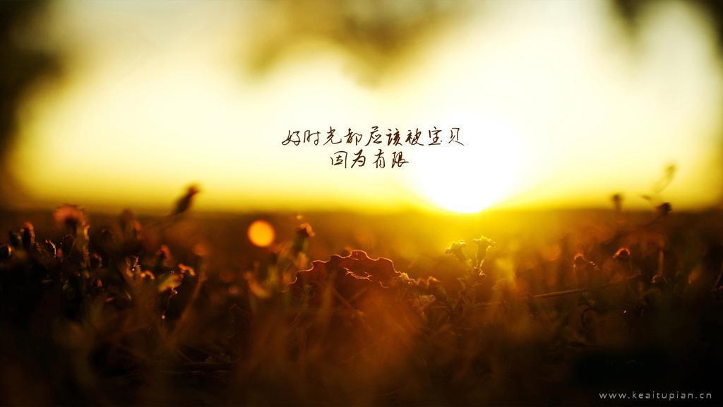 新一天的我早上好唯美lomo风格早安图片