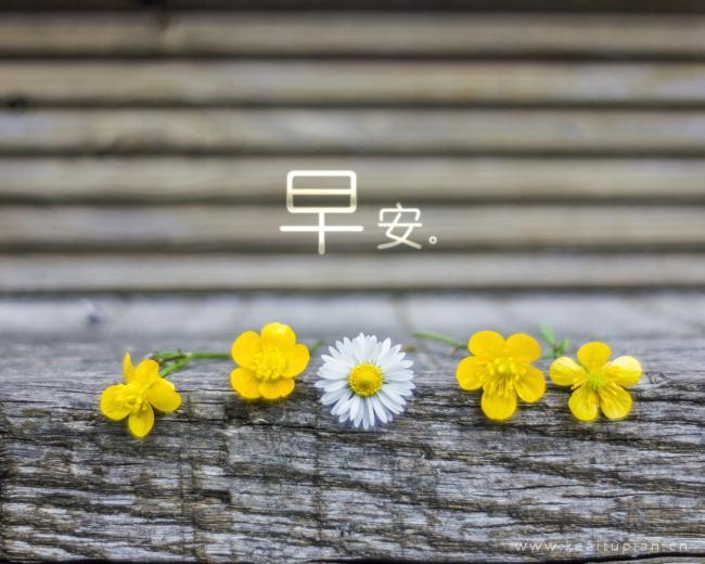 唯美小清新的风景高清早安壁纸图片