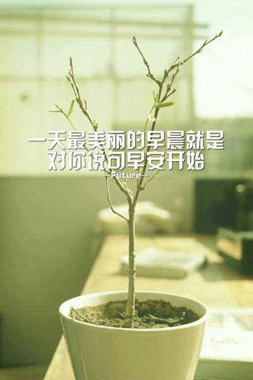 好看小清新唯美早安心语高清桌面壁纸图片