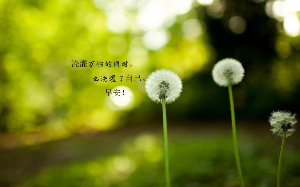 从这个清晨开始努力唯美高清桌面壁纸图片