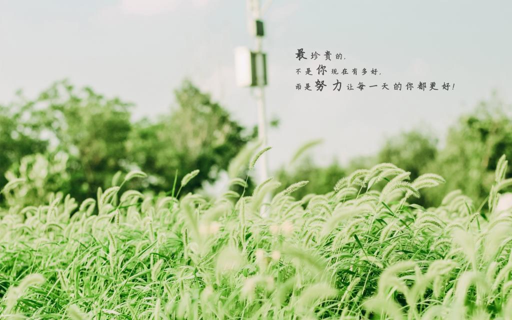 早安走进八月告别七月唯美正能量心语图片