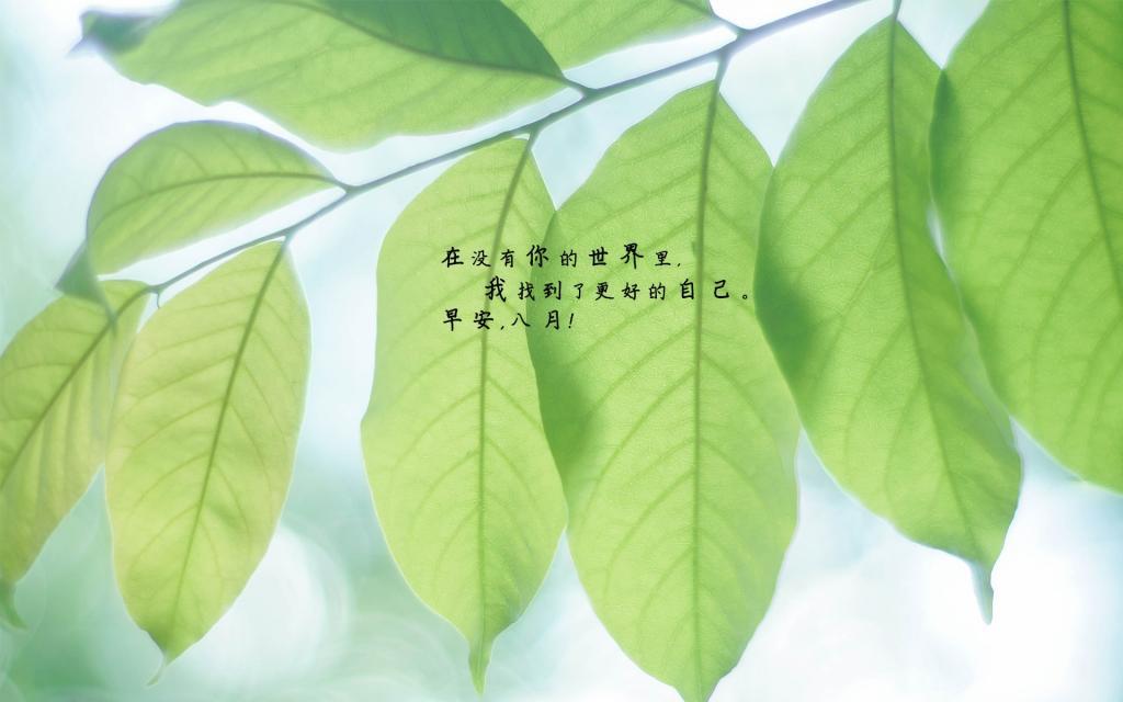 早安走进八月告别七月唯美正能量心语图片