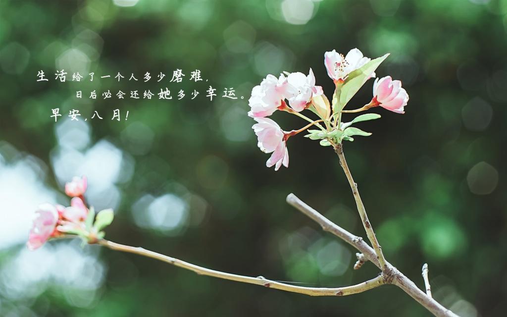 早安走进八月告别七月唯美正能量心语图片