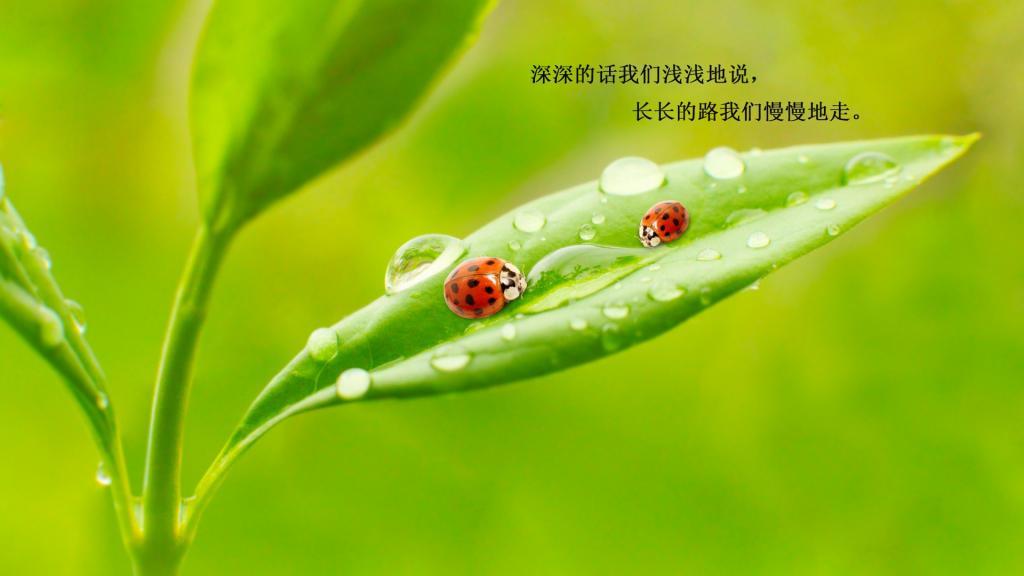 [热门]温暖的早安心语一句话图片