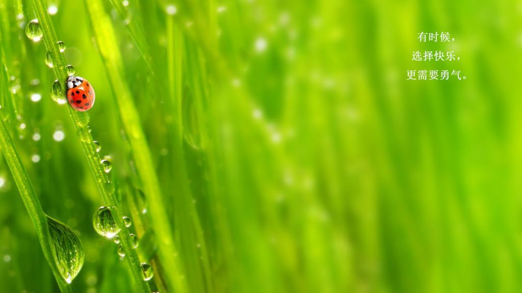 [热门]温暖的早安心语一句话图片