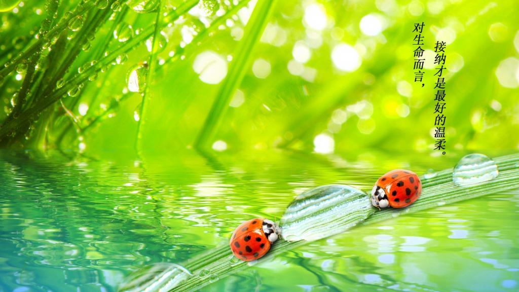 [热门]温暖的早安心语一句话图片