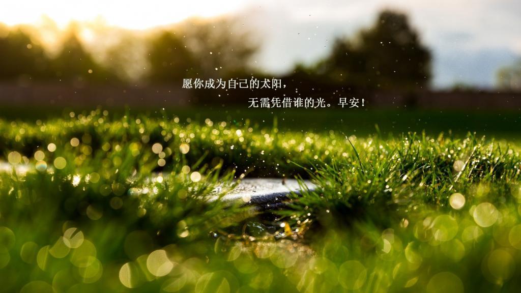 [热门]一句话的简单早安说说图片