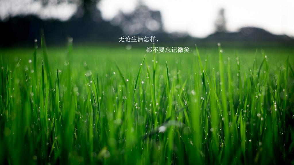 [热门]一句话的简单早安说说图片