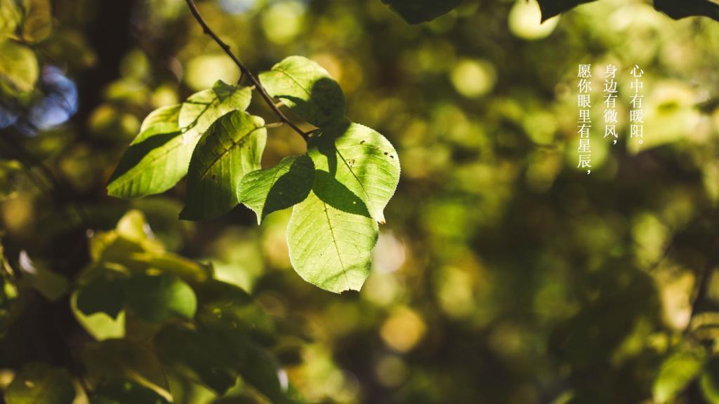 [热门]一句话的简单早安说说图片