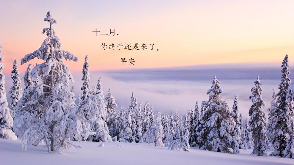 最新12月第一天早安心语图片
