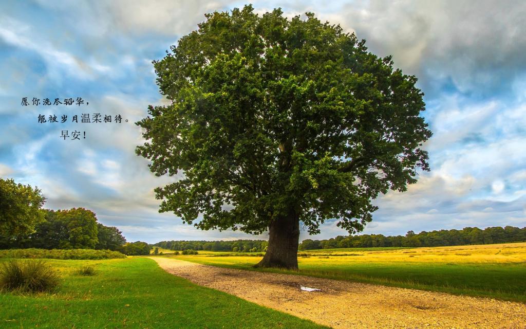 [推荐]朋友圈最暖心的早安心语图片