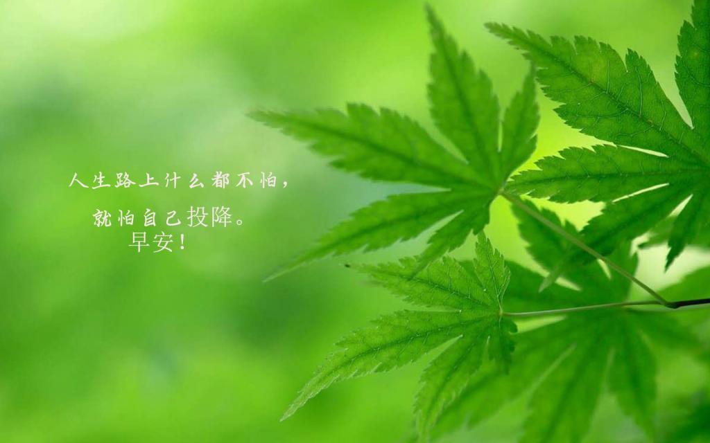 [推荐]朋友圈最暖心的早安心语图片