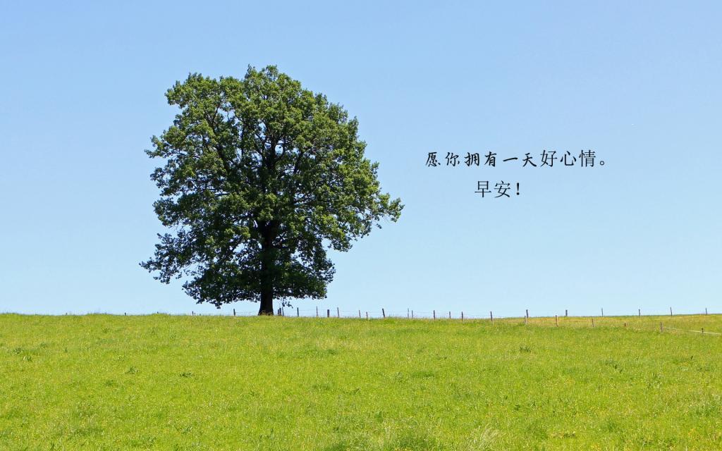 [推荐]朋友圈最暖心的早安心语图片