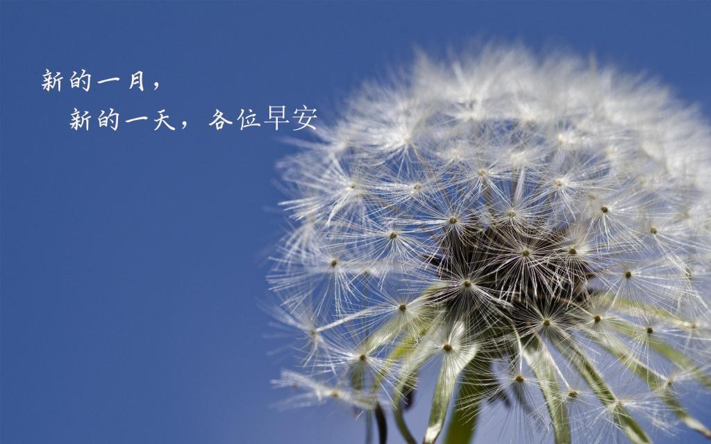 精选12月早安心语说说配图图片