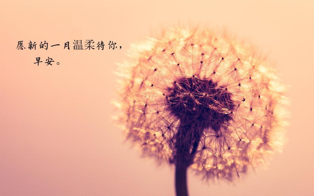 精选12月早安心语说说配图图片