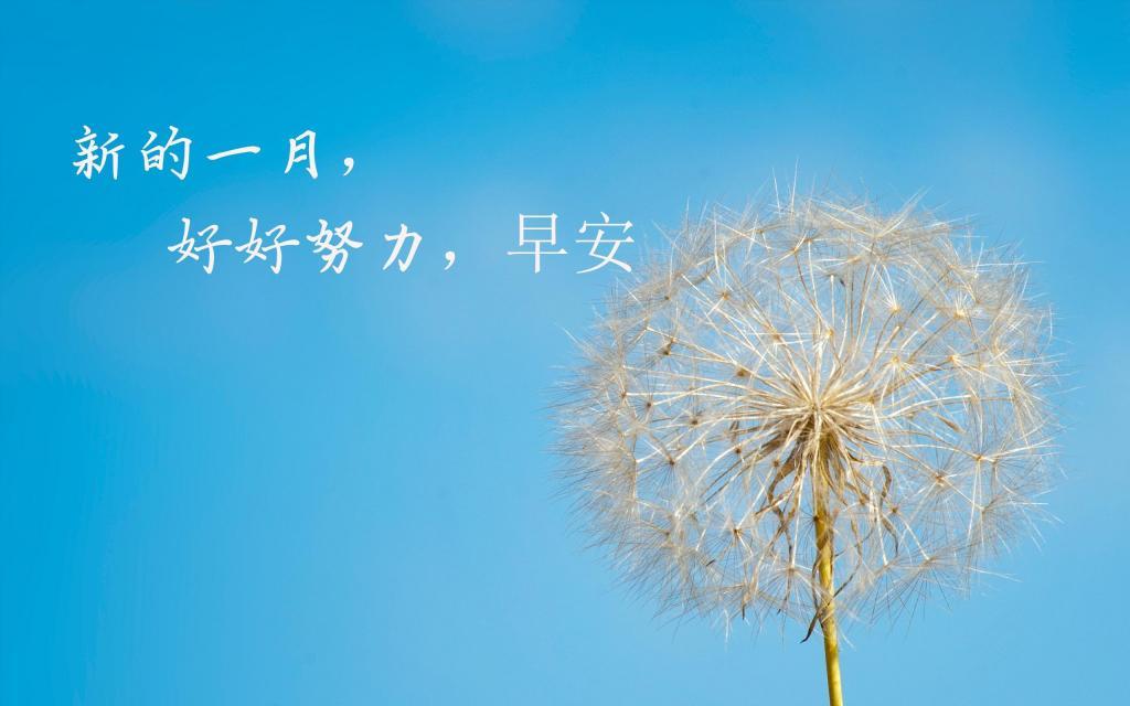 精选12月早安心语说说配图图片