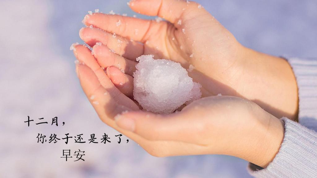 精选12月1日的早安心语说说配图图片