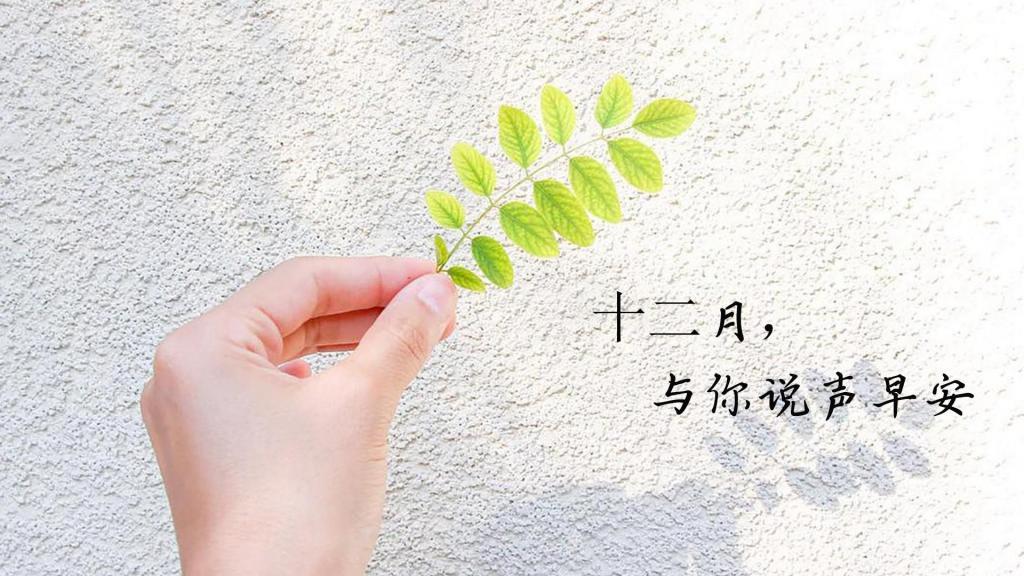 精选12月1日的早安心语说说配图图片