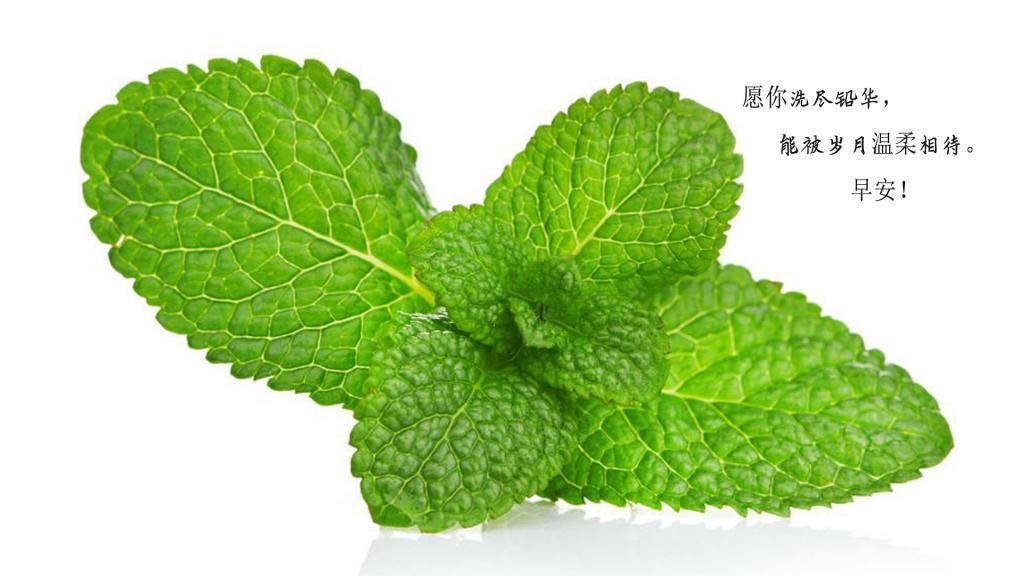 唯美朋友圈最暖心早安说说配图图片
