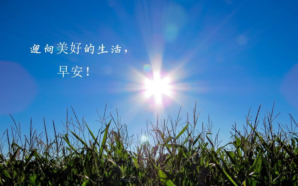 [热门]2019年励志早安心语图片