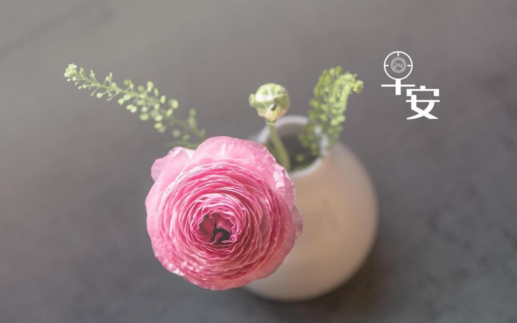 好看全新早安问候语图片