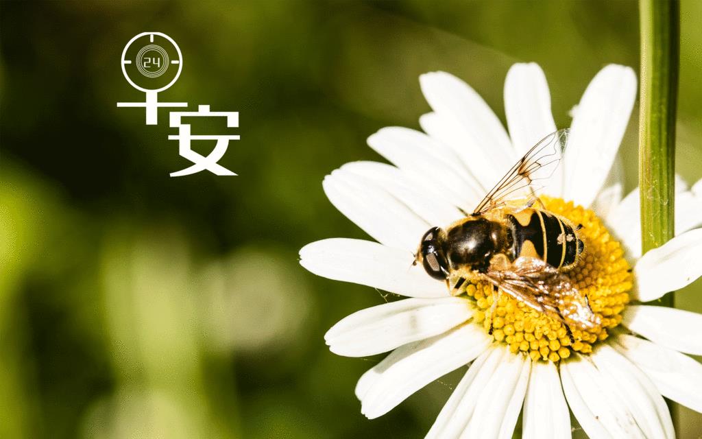 [图]早安暖心问候语图片