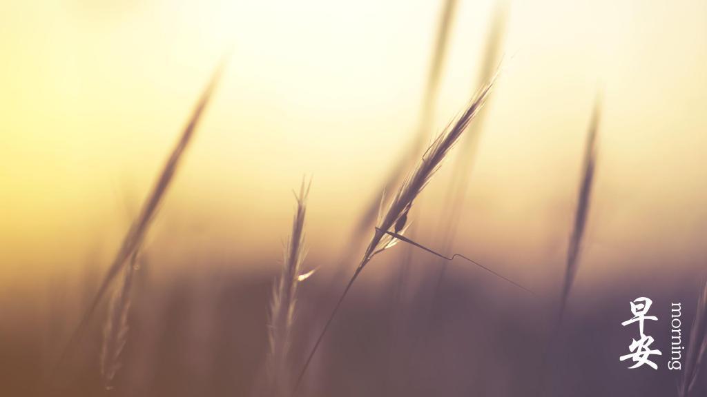 唯美2021全新早安图片