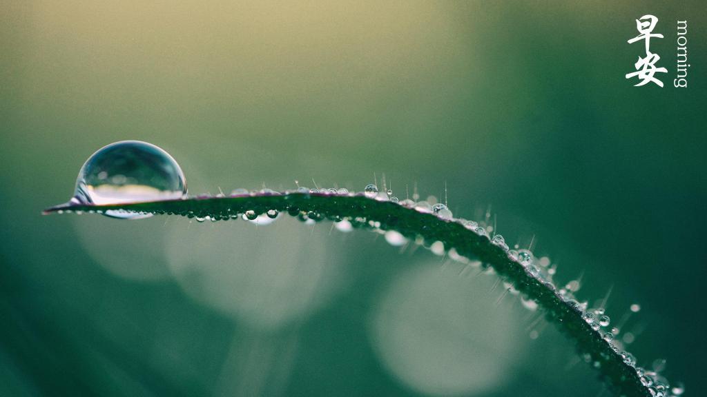 唯美2021全新早安图片