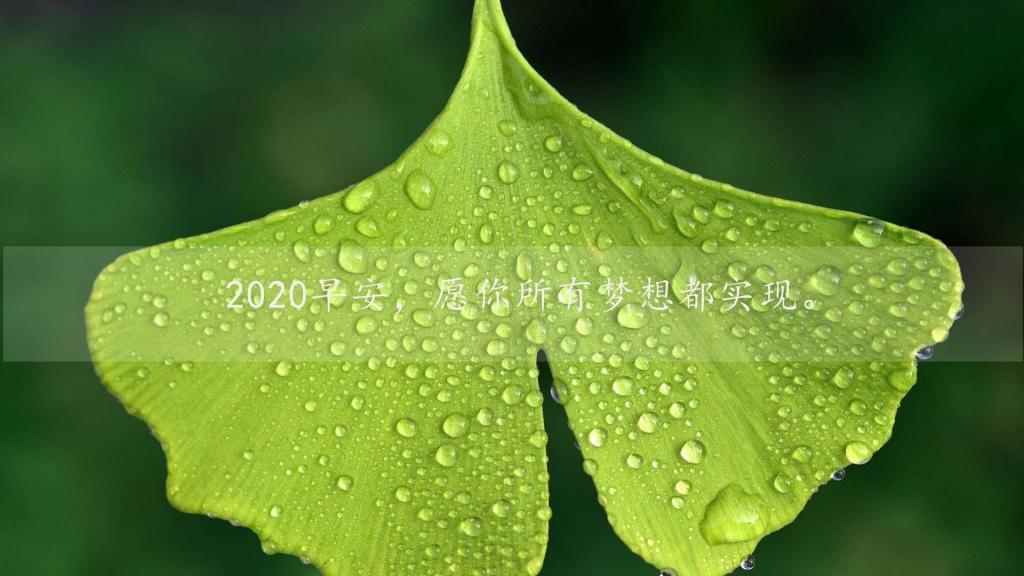 [推荐]早上好新版2021唯美励志暖心简约图片