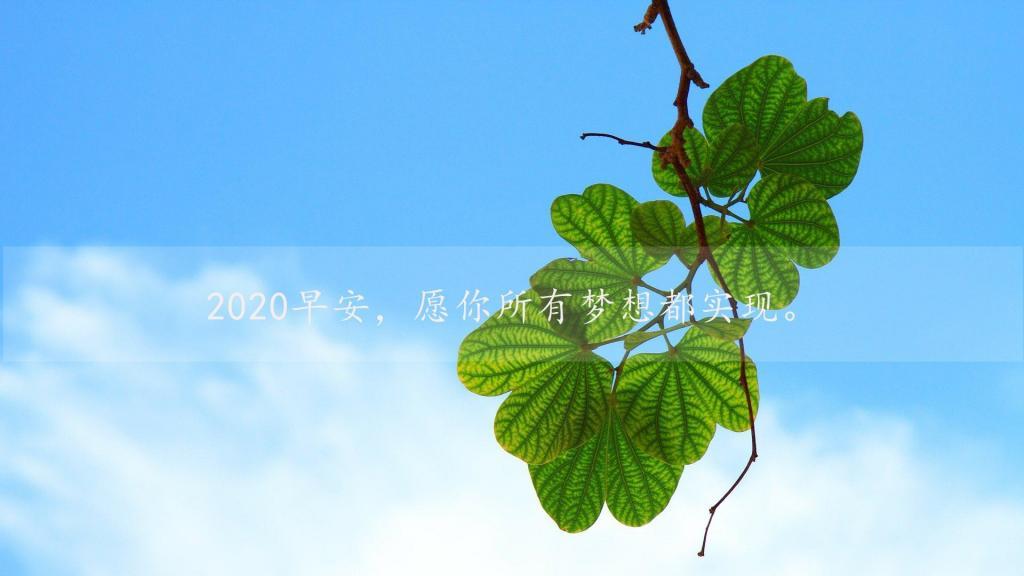 [推荐]早上好新版2021唯美励志暖心简约图片