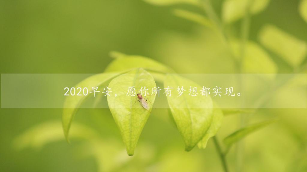[推荐]早上好新版2021唯美励志暖心简约图片