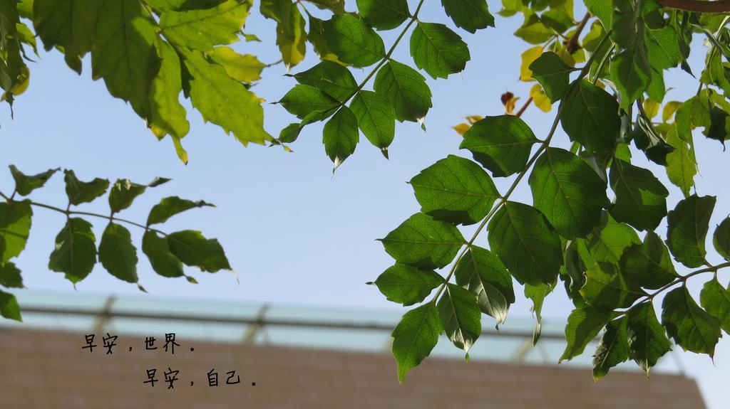 超美早安心语励志语录图片