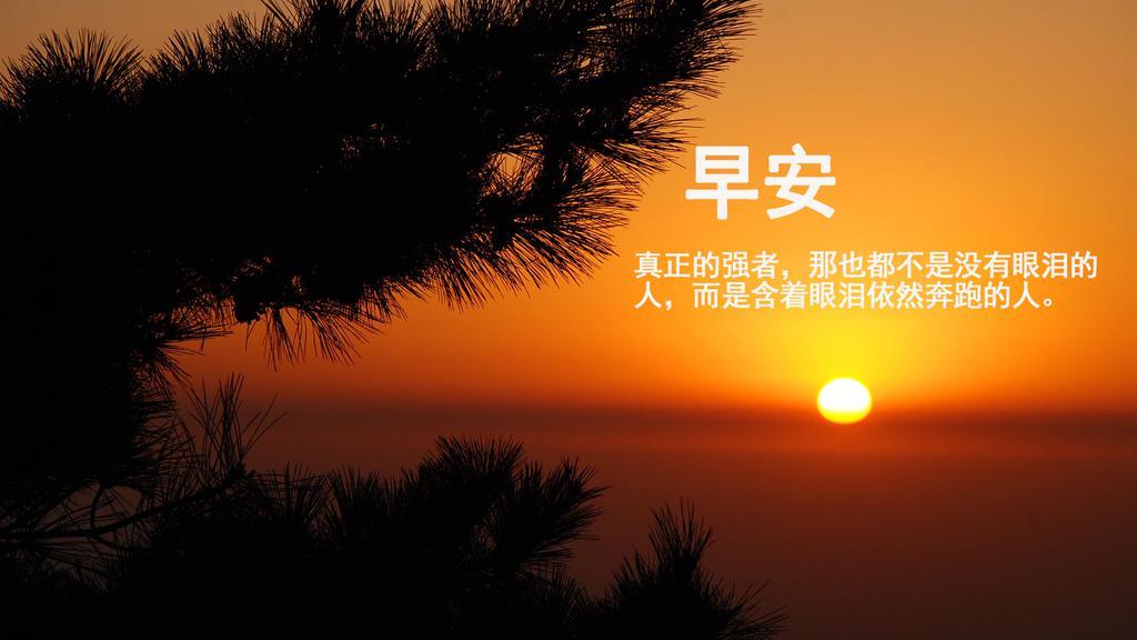 超美微信早安励志心语图片