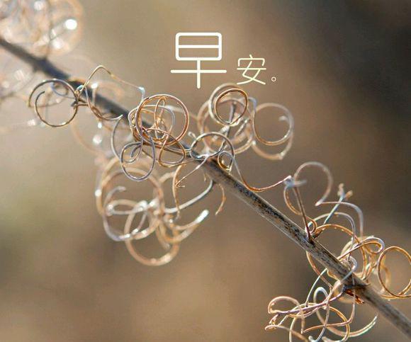 漂亮的温暖心语早安快乐图片