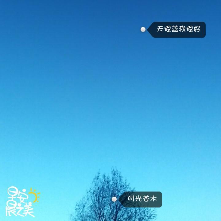 唯美早安正能量微信语录图片