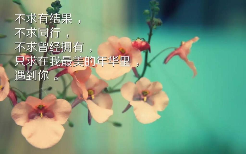 唯美微信朋友圈早安激励语图片