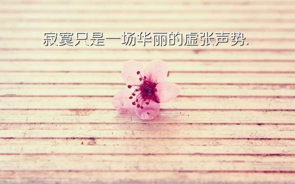 唯美微信朋友圈早安激励语图片