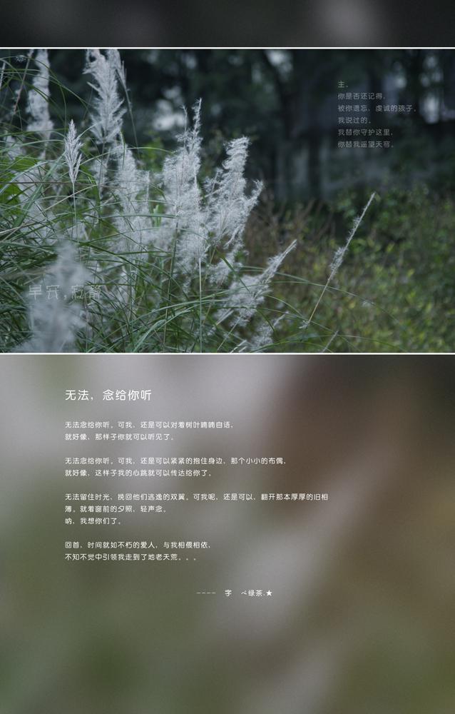 最新早安寂静正能量语录微信图片