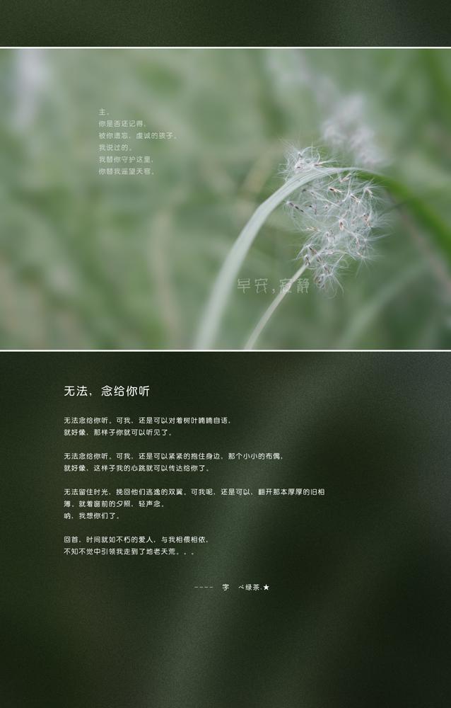 最新早安寂静正能量语录微信图片