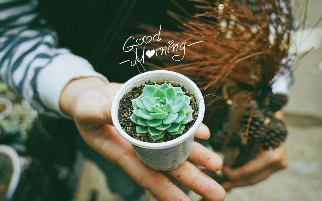 早安Goodmorning的唯美桌面壁纸图片
