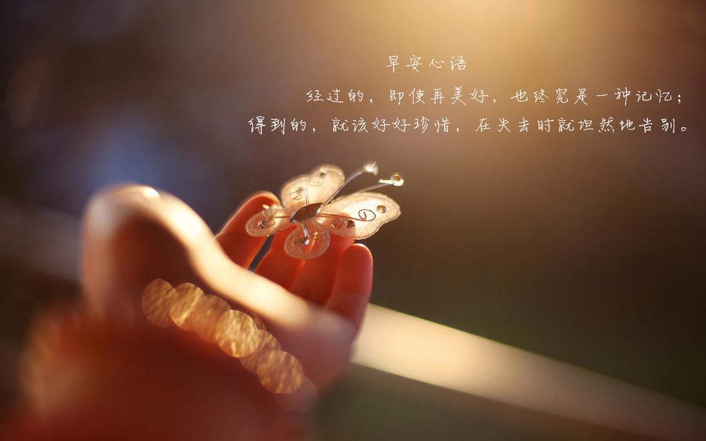 早安励志带字桌面壁纸图片 要想飞得高，就该把地平线忘掉