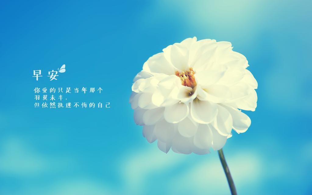 早安励志带字桌面壁纸图片 要想飞得高，就该把地平线忘掉