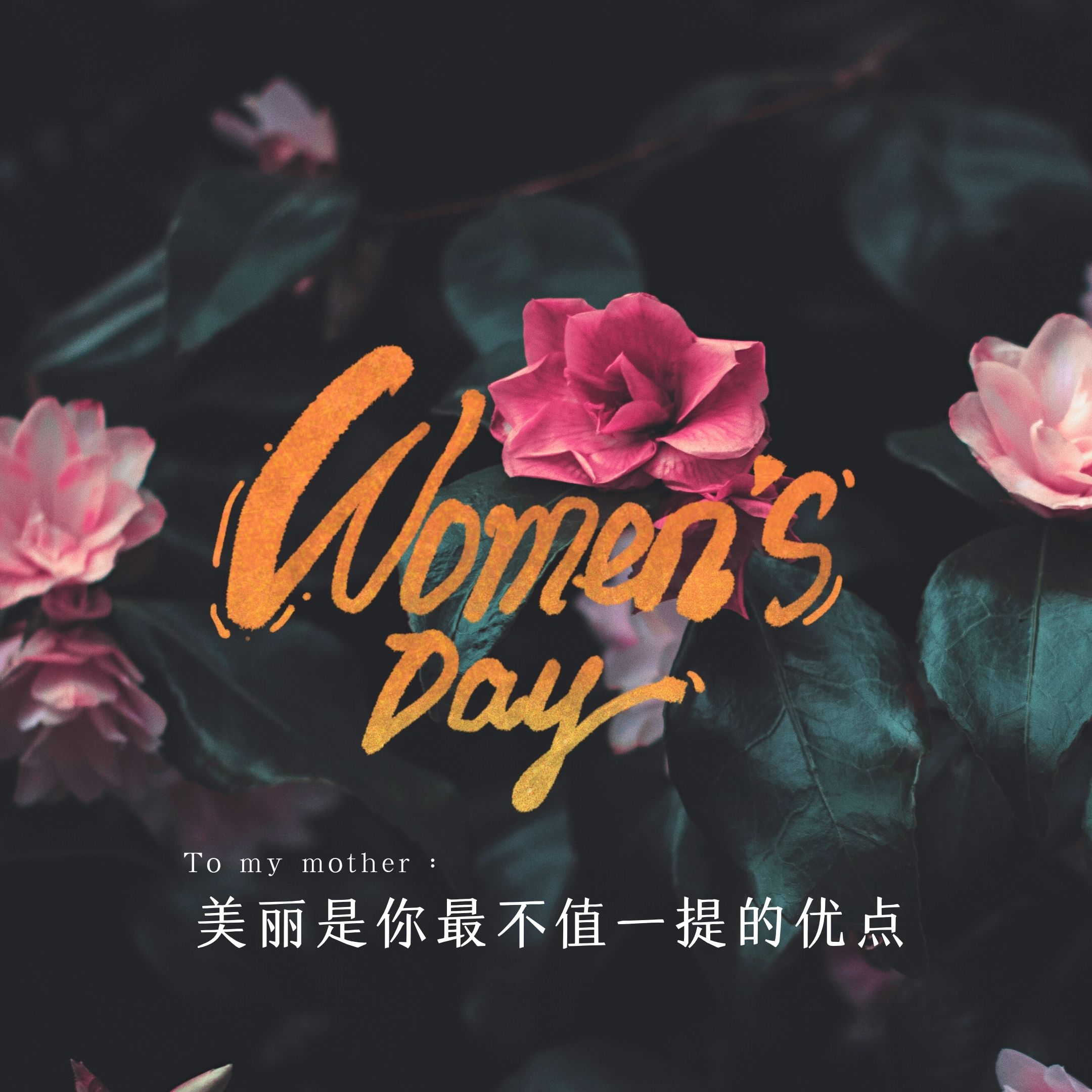 2022最新妇女节图片 三八妇女节海报壁纸大全