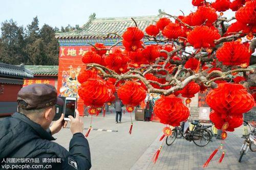 迎新春图片 恭迎新春图片