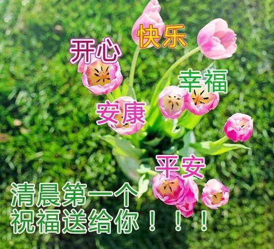 新年早安图片 2022最新的早安图片