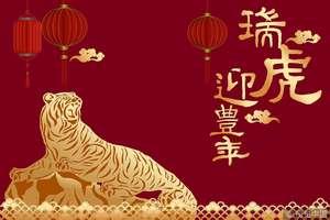 新年祝福图片 恭祝新年图片