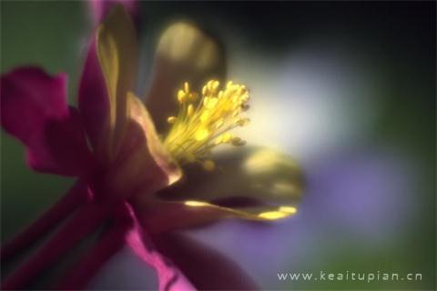 春分图片大全大图-春天的美景图片