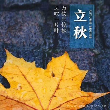 立秋节气图片 适合2022立秋发朋友圈的图片