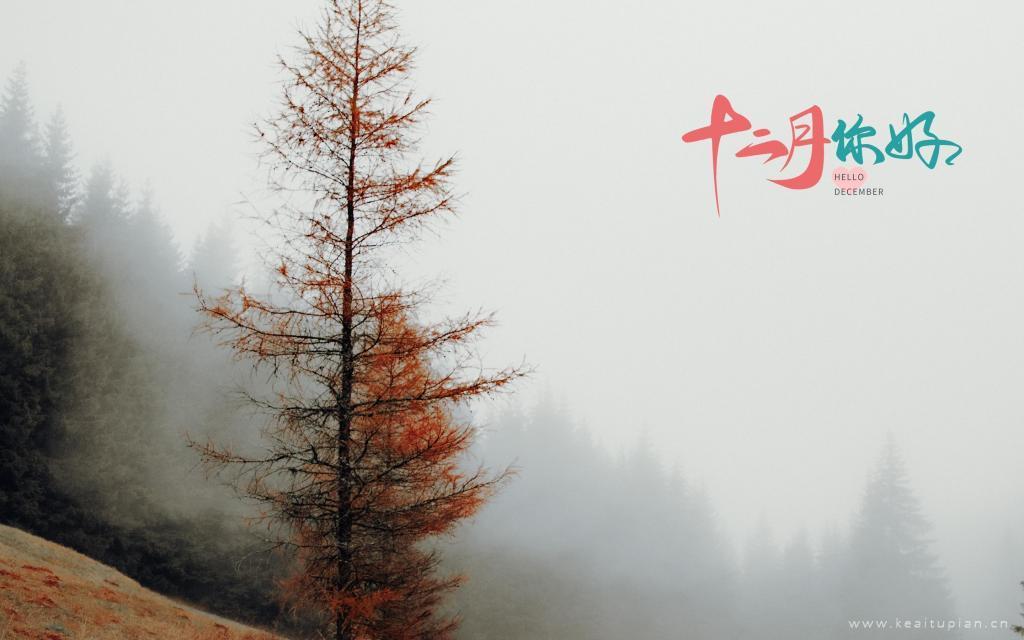 冬天的山林风景电脑桌面图片十二月你好